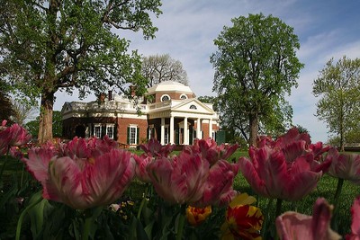 Thomas Jefferson's house, Monticello