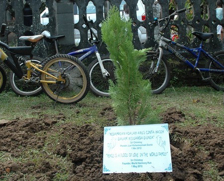 tree planting