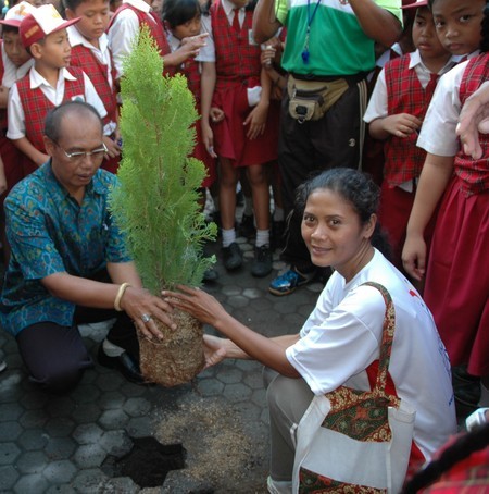 planting the tree