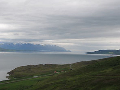 IMG_4117