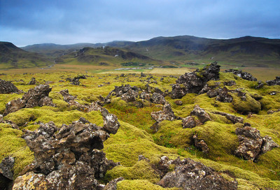 Moss-covered molten lava