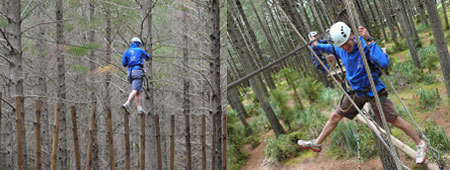 Tree Adventures Tree Adventures